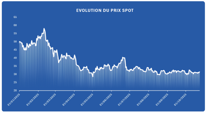 graphique indiquant l'évolution du prix spot